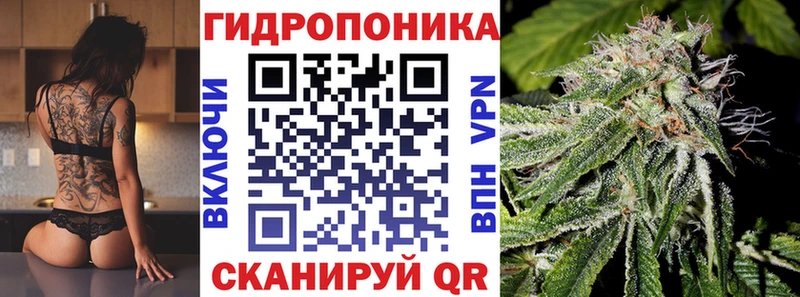 Купить наркотики цена Волжск Галлюциногенные грибы  Кокаин  ссылка на мегу ONION  Бошки Шишки  МЕФ  ГАШИШ  APVP 