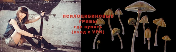 таблы Богородск
