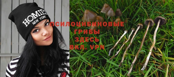 таблы Белокуриха