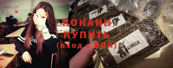 прущий лед Богородицк