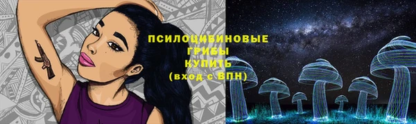 таблы Богородск