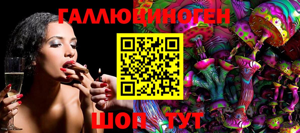 Галлюциногенные грибы Psilocybine cubensis Волжск