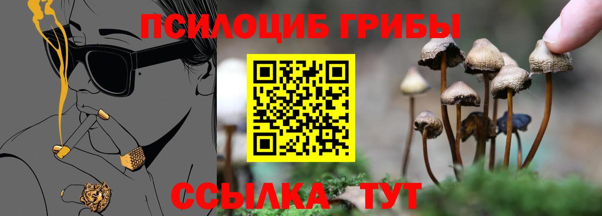 Псилоцибиновые грибы Psilocybe  Вход с VPN  Галлюциногенные грибы GOLDEN TEACHER  Волжск 